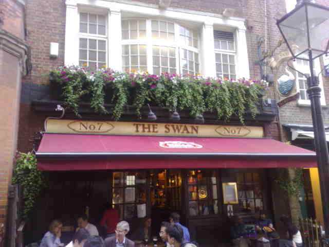 The Swan The Swan