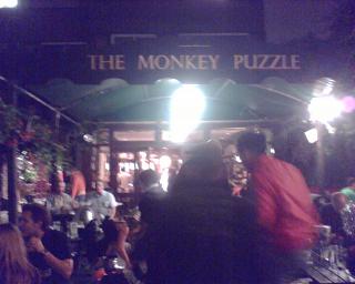 The Monkey Puzzle The Monkey Puzzle